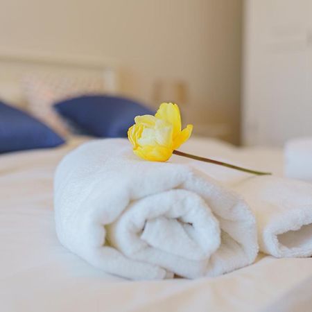 5* Mansion In City Center Cluj-Napoca Ngoại thất bức ảnh